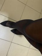 Алина, 8 927 815-88-86